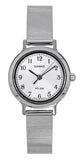 Casio Standard Analog Stainless Steel Silver Dial Quartz LTP-B170D-7BV Women's Watch